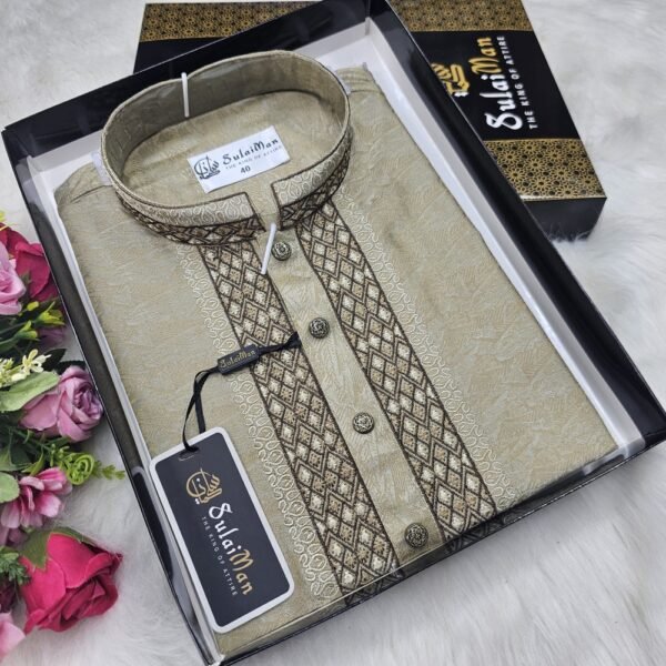 Premium Dark White Panjabi | S314